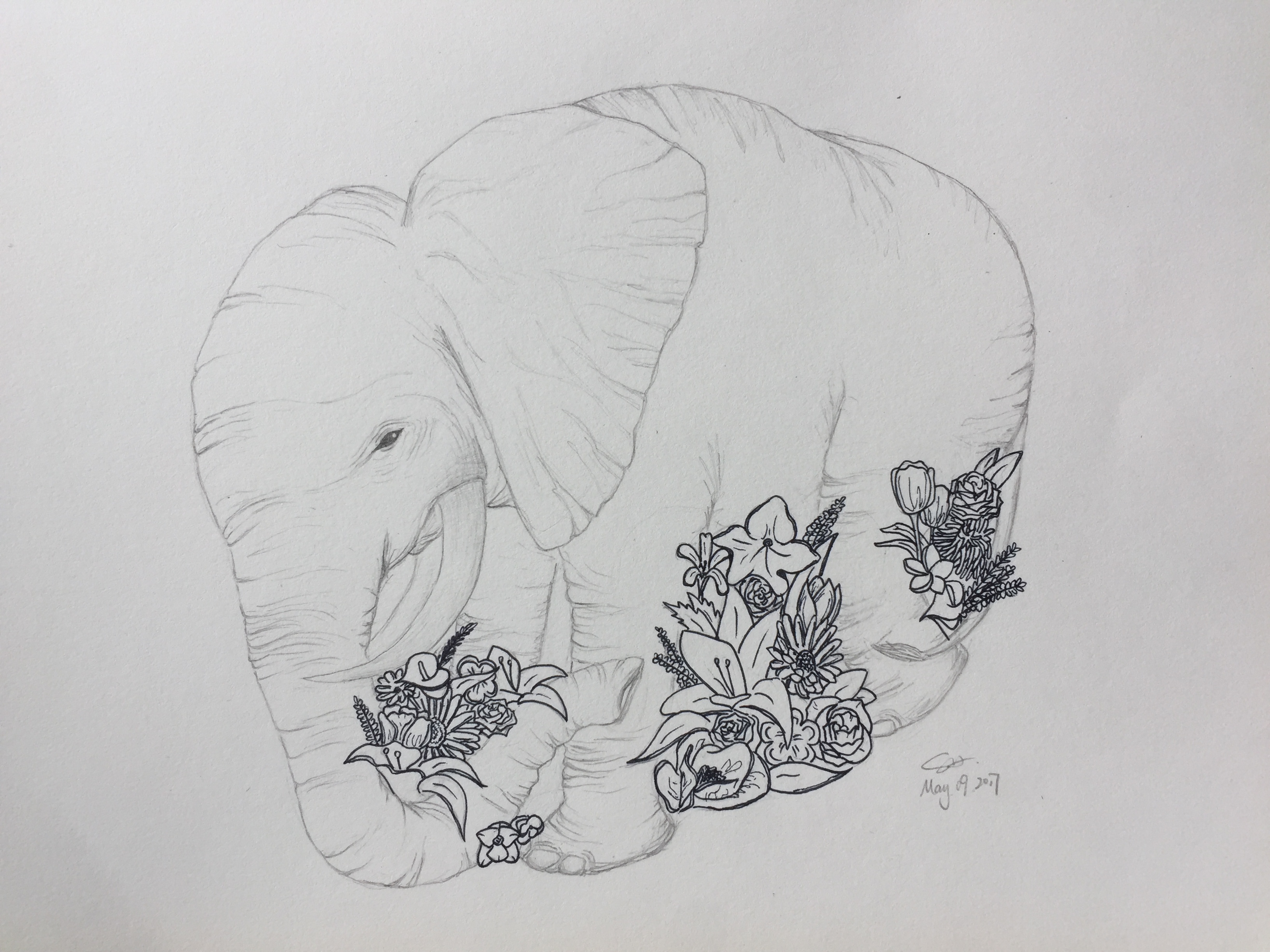 Drawing of an elephant with flowers